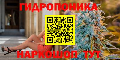 ПСИЛОЦИБИНОВЫЕ ГРИБЫ Партизанск