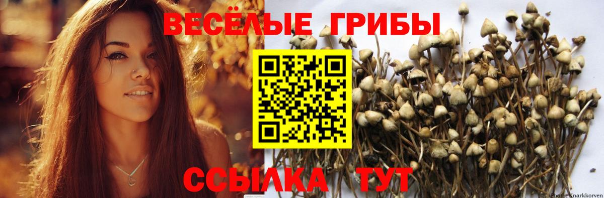 Саяногорск  Галлюциногенные грибы GOLDEN TEACHER  Вход с VPN  Псилоцибиновые грибы ЛСД 