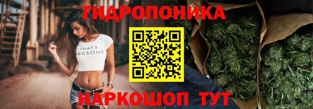 Конопля гибрид Саяногорск